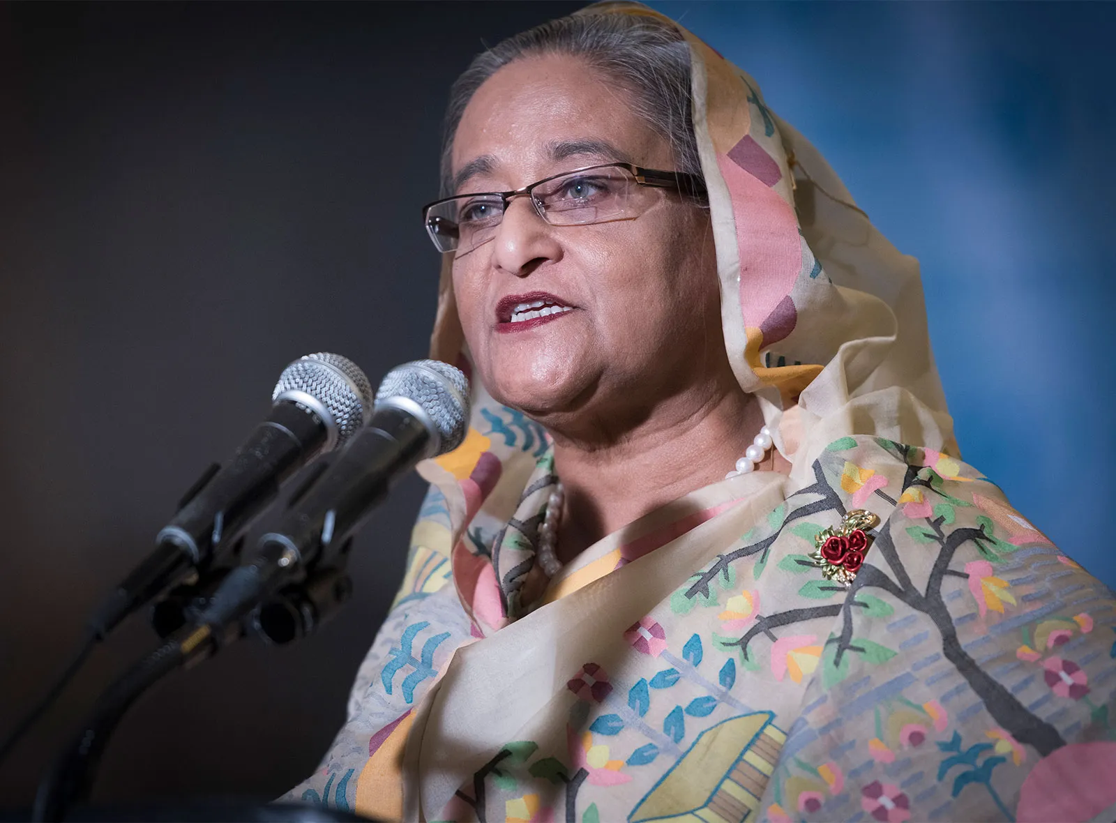 জননেত্রী শেখ হাসিনা